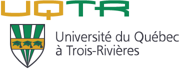 Ma&icirc;trise en enseignement